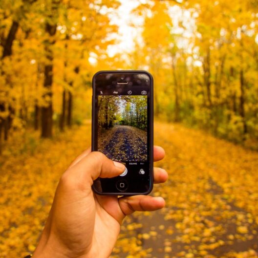 Издание gizmochina.com составило список самых ожидаемых смартфонов октября